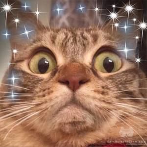 Meet your Posher, Aqsa